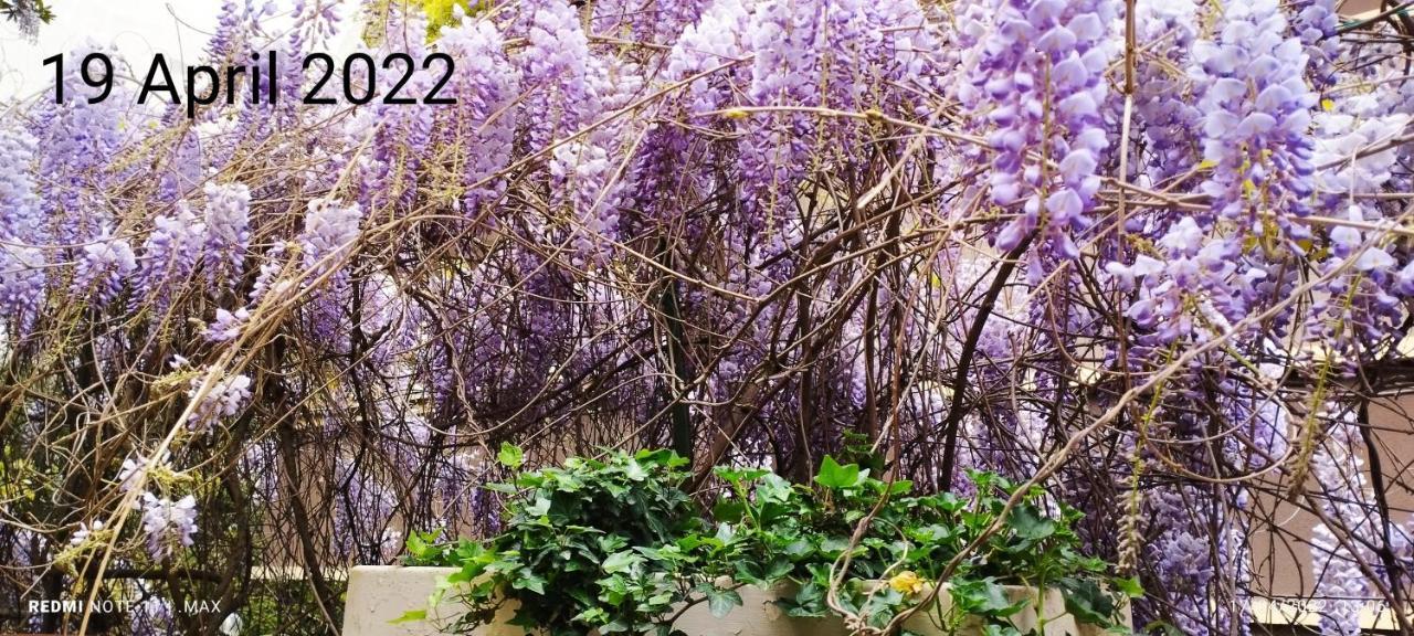 Garden House - Luxury Guest House - Overnight Stay Only Rome Bagian luar foto